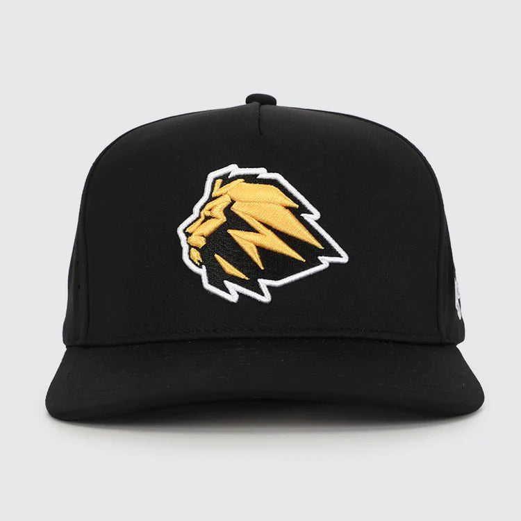 Mufasa Hat